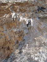 SNV80445.JPG